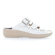 Summer Green