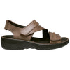 Bison Brown